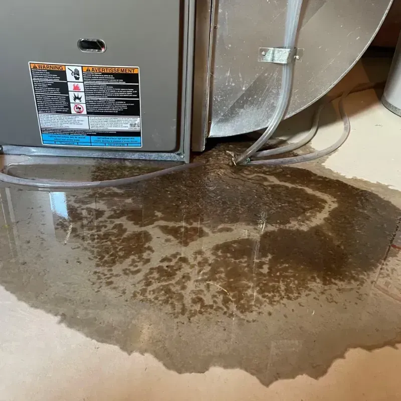 Appliance Leak Cleanup in Fairbury, IL